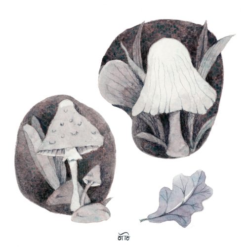 Eine Skizze mit Aquarellfarben von Pilzen und Blättern