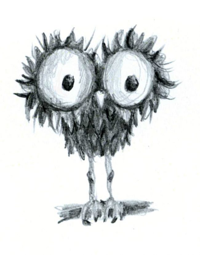 Kleine Eule Kleine Eule, Bleistiftzeichnung