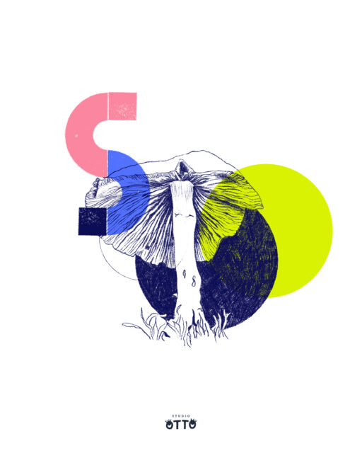 Hallo September! Und damit hallo Strickjacken, Socken und … was ich seit Kindheit gern mache: Pilzesammeln! Hier gibts zunächst mal einen digitalen 🍄: im neuen Monats-Wallpaper. In meiner Story (und den Hightlights) findest du das neue Kalenderblatt. Einfach Screenshot machen und als Hintergrundbild für dein smartphone nutzen. Viel Spaß damit!
.
Hello September! And with it, hello cardigans, socks and... something I've loved doing since childhood: mushroom picking! Here's a digital 🍄 to start with: in the new monthly wallpaper. You can find the new calendar page in my story (and highlights). Just take a screenshot and use it as your smartphone wallpaper. Enjoy!
.
.
.
#newmonthvibes #newmonth #wallpaper #digitalwallpaper #smartphonewallpaper #hintergrundbild #mushroom #pilz #botanicalillustration