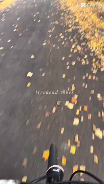 Herbst in meinem Viertel. So schön, wenn alles was ruhiger ist. Auch die Katze schnauft durch und meine Skizzen „könnten Spuren von Katzenhaaren enthalten“. #botanicalillustration #watercolorillustration